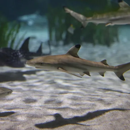 Express By Ihg Hotel